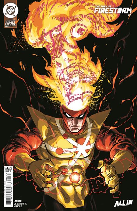 FURY OF FIRESTORM #2 (OF 6) RILEY ROSSMO C COVER
