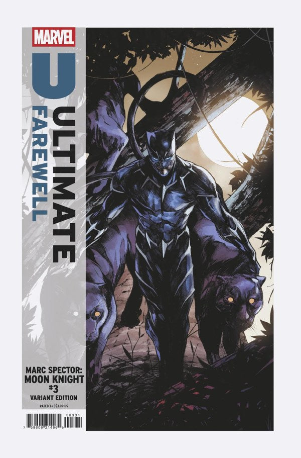 MARC SPECTOR: MOON KNIGHT #3 ULTIMATE FAREWELL ALESSANDRO CAPPUCCIO C COVER