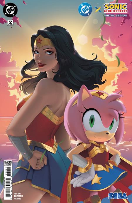 DC X SONIC THE HEDGEHOG THE METAL LEGION #2 (OF 5) R1C0 B COVER