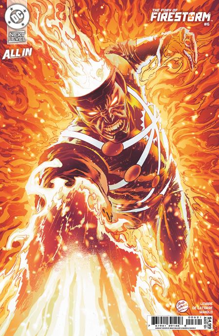 FURY OF FIRESTORM #6 (OF 8) BRAD WALKER & MARCELO MAIOLO B COVER