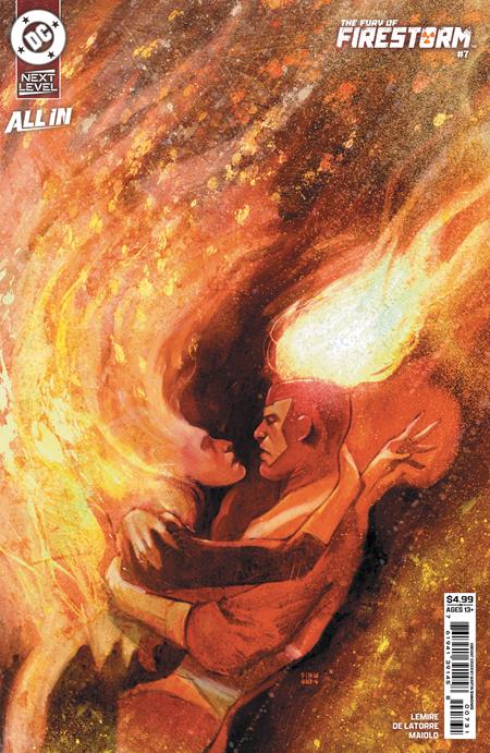 FURY OF FIRESTORM #7 (OF 8) MARTIN SIMMONDS C COVER