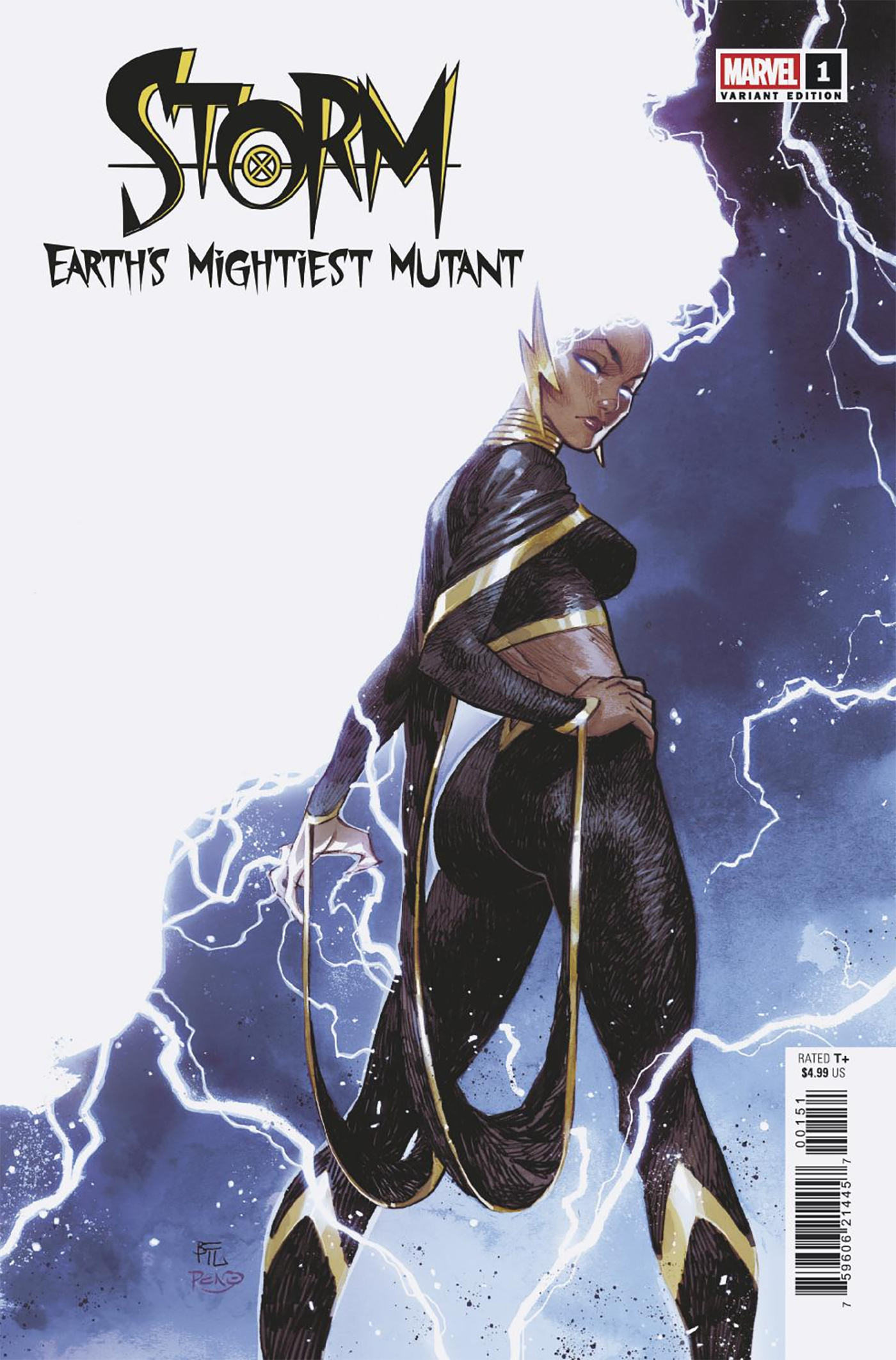 STORM: EARTH'S MIGHTIEST MUTANT #1 DIKE RUAN E COVER