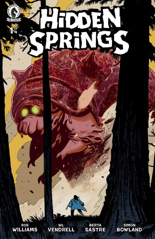 HIDDEN SPRINGS #1 NIL VENDRELL A COVER