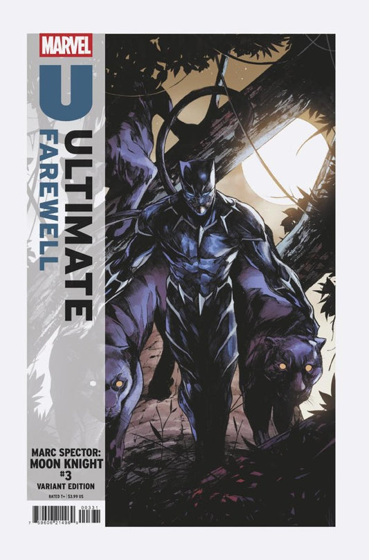 MARC SPECTOR: MOON KNIGHT #3 ULTIMATE FAREWELL ALESSANDRO CAPPUCCIO C COVER